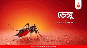 Five die of dengue in 24 hrs, 839 hospitalized