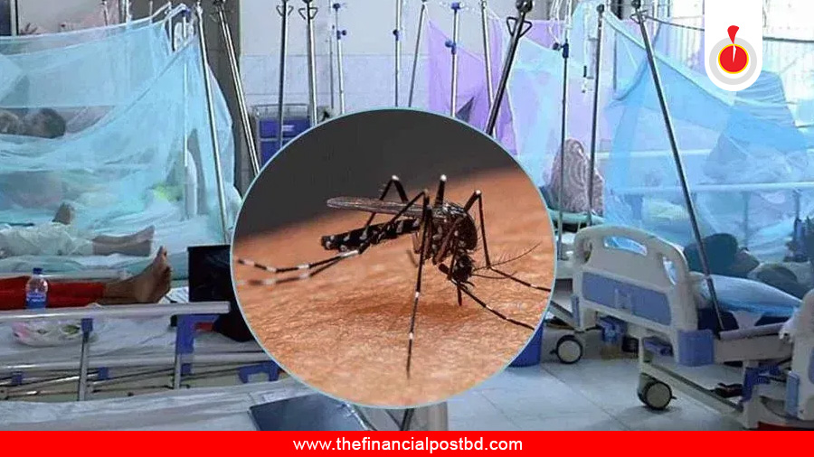 Record 10 die of dengue in 24 hours
